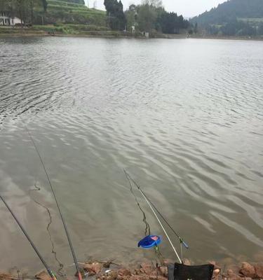 雨后钓鱼的技巧与经验（清明节出行）  第3张