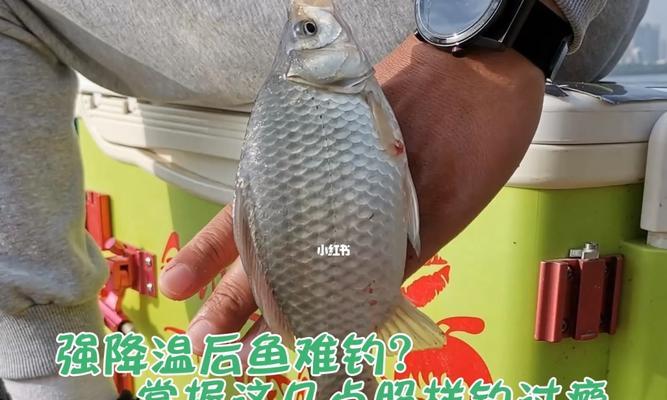 清明阴雨下钓鱼技巧（冷雨中的钓鱼心得与经验）  第2张