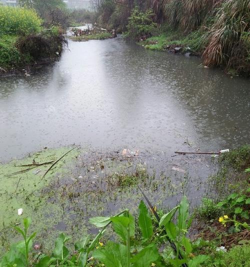 清明雨天钓鱼的技巧与方法（湿雨中垂钓）  第2张