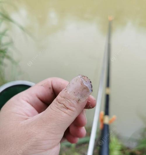 清水河钓鱼绝密技巧（钓鱼高手教你在清水河中捕获丰富鱼群）  第1张