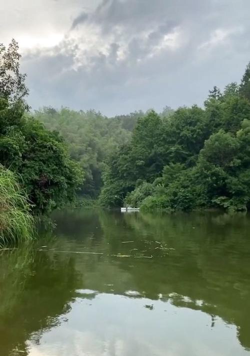 清水水库涨水野钓技巧与方法（应对涨水情况下的钓鱼技巧）  第2张