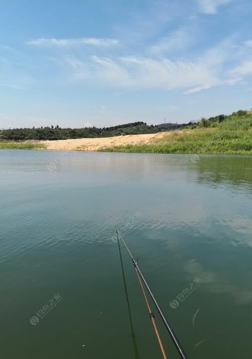 探秘清水水库涨水野钓技巧（钓友必知的清水水库涨水高招）  第1张