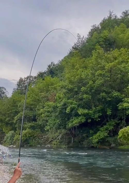 探秘清水水库涨水野钓技巧（钓友必知的清水水库涨水高招）  第2张