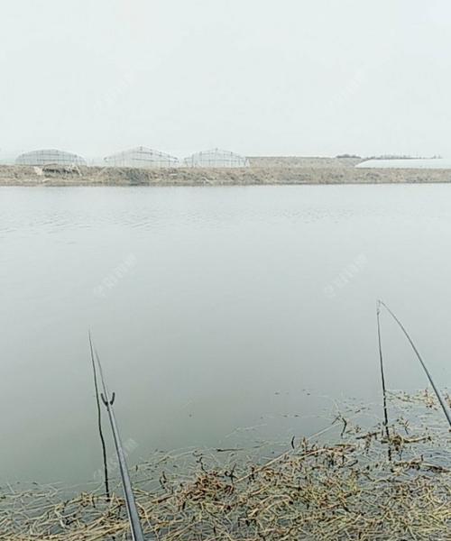 晴天钓鱼技巧大揭秘（享受阳光与湖水的完美结合）  第3张