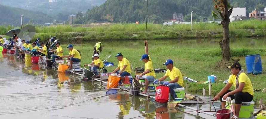 邱延军黑坑钓鱼技巧（掌握黑坑钓鱼技巧）  第1张