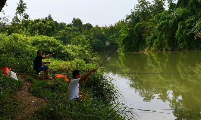 秋钓野河技巧（探秘钓鱼高手的独门技巧）  第3张