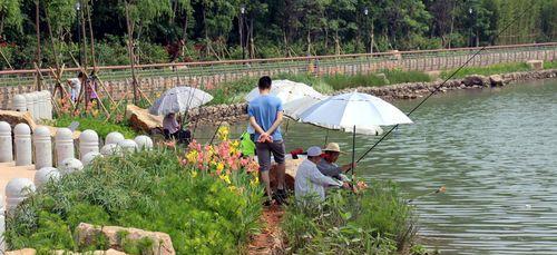 秋冬季节河水钓鱼技巧（钓鱼爱好者必备）  第3张