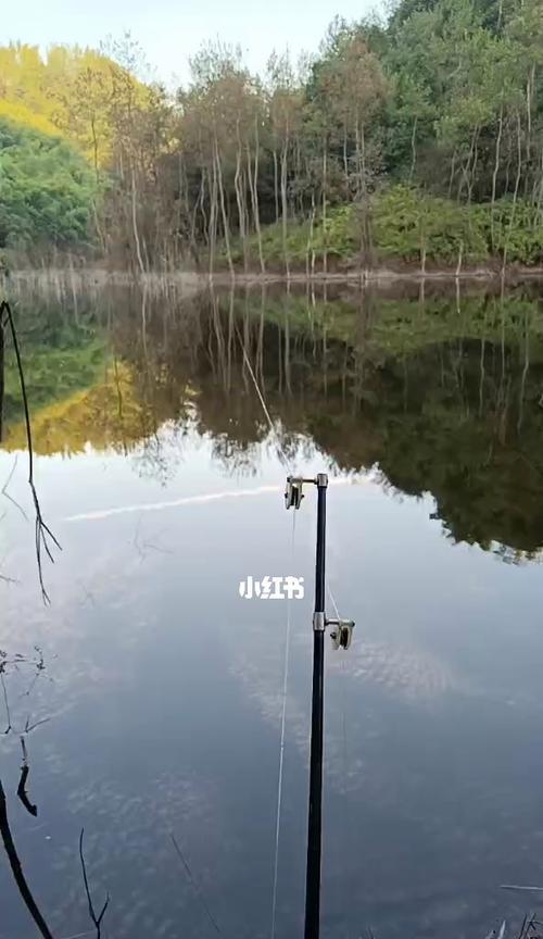 雨后水库钓鱼技巧（解析秋天水库钓鱼技巧及注意事项）  第1张