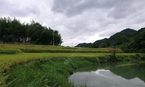 秋雨前后钓鱼技巧（掌握水情）  第1张