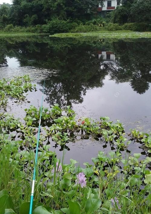 蚯蚓流水钓鱼技巧（掌握这些技巧）  第1张