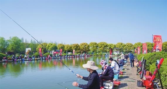 夏日在肥水塘垂钓的技巧（解析夏日垂钓技巧）  第1张