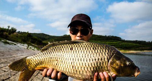 炎炎夏日，钓鱼技巧大揭秘（享受夏日钓鱼乐趣）  第1张