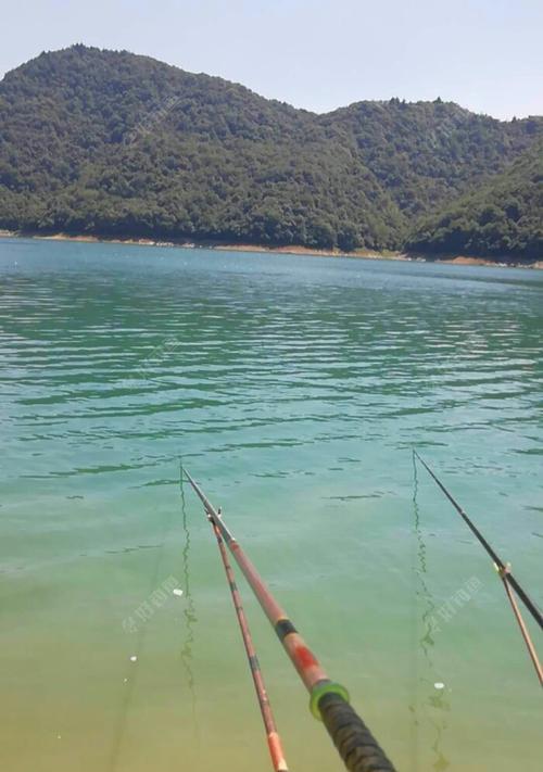 炎炎夏日，享受野钓的小技巧（夏天钓鱼）  第1张