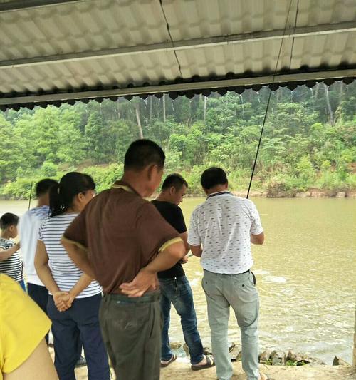 人工水泥河道钓鱼技巧大全（打造完美的人工水泥河道钓鱼体验）  第1张