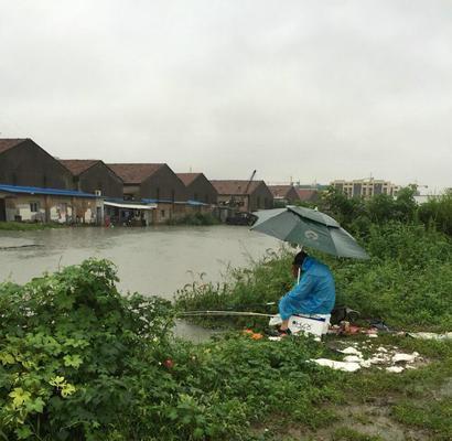 深山暴雨钓鱼技巧（雨中寻宝）  第1张