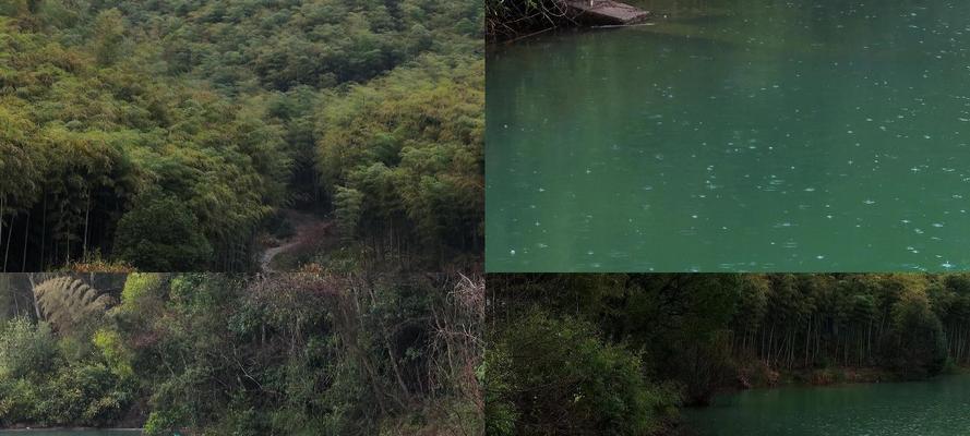 深山竹林钓鱼技巧大揭秘（掌握竹林钓鱼）  第1张