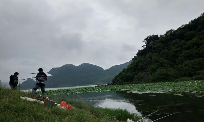 深水塘钓鱼技巧（掌握钓鱼技巧）  第1张