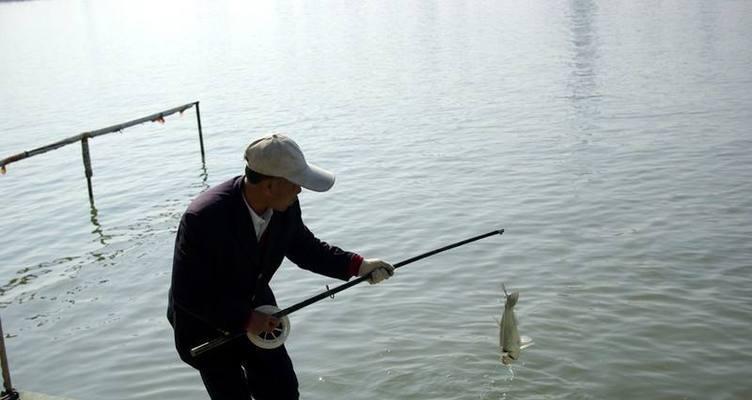 深水浅水钓鱼技巧（掌握深水与浅水钓鱼技巧）  第1张