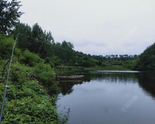 盛夏阴天钓鱼技巧（钓鱼技巧）  第1张