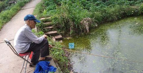 水坑钓鱼技巧大揭秘（十多米水坑钓鱼的诀窍与心得）  第1张