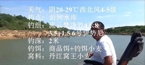 钓鱼达人必备的水库打窝技巧（定时定点打窝）  第1张