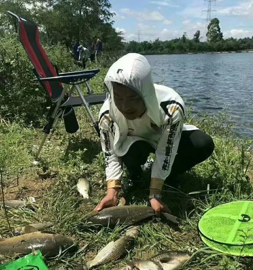 水库钓鱼鱼饵搭配技巧（提升钓鱼成功率的终极秘籍）  第1张