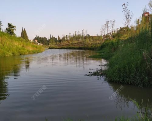 水库护坡钓鱼技巧（提升钓鱼成功率的关键技巧与经验分享）  第1张