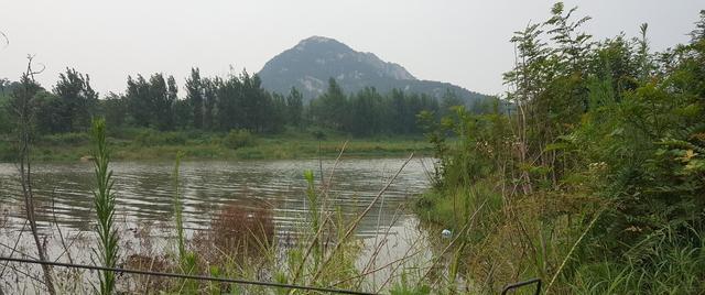 水库水底水草丰富的钓鱼技巧（掌握水底水草钓鱼的窍门）  第1张