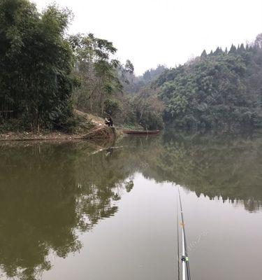 水库深水钓鱼技巧大揭秘（克服水深困扰）  第1张