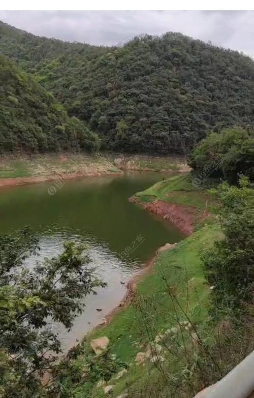 雨后水库钓鱼技巧与方法（提升钓鱼成功率的实用指南）  第1张