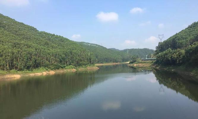 夏季水库野钓技巧（提升钓鱼效果的两个关键点）  第1张