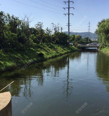 夏日钓鱼的绝佳技巧（轻松应对闷热天气）  第1张