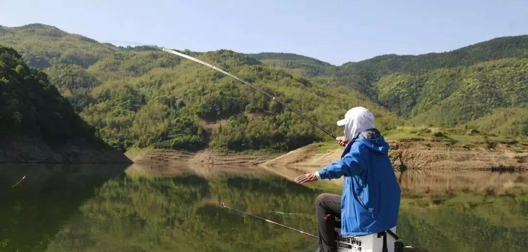 炎炎夏日钓鱼技巧揭秘（挑战高温钓情）  第1张