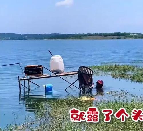 夏日钓鱼技巧（应对炎热天气）  第1张