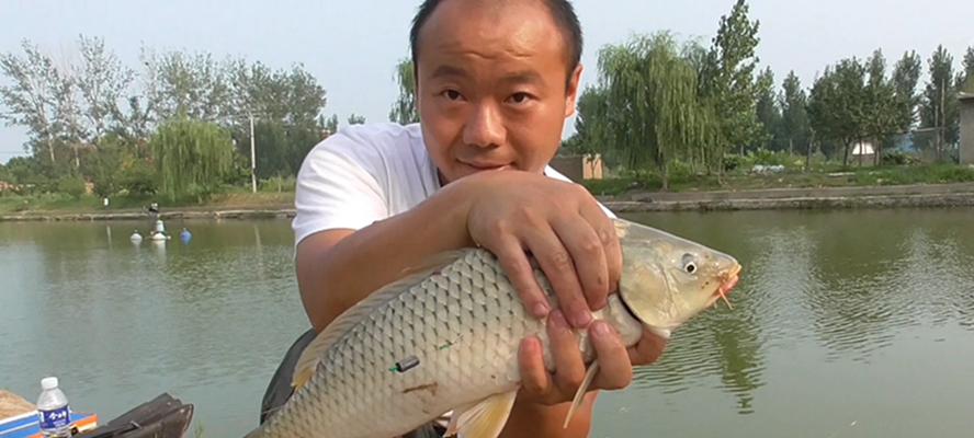 夏日钓鱼技巧大揭秘（让你轻松在炎炎夏日中享受钓鱼乐趣的黑坑秘籍）  第1张