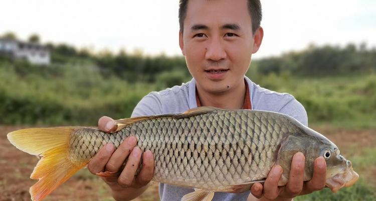 夏日炎炎，如何野钓不被酷暑阻挡（夏日野钓技巧分享）  第1张