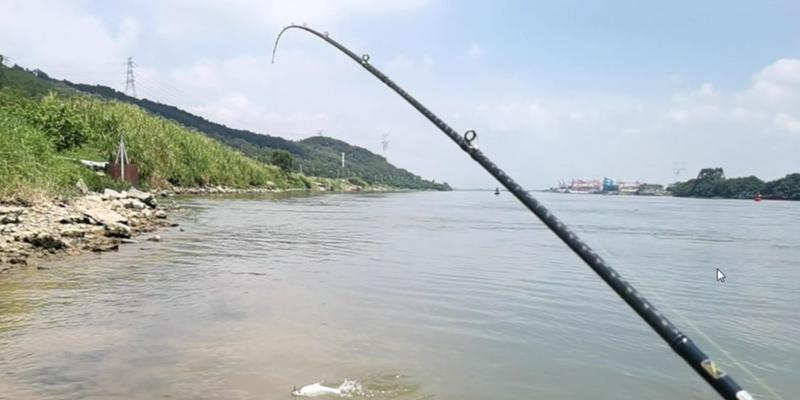 通江河道野钓鳊鱼技巧（掌握关键技巧）  第1张