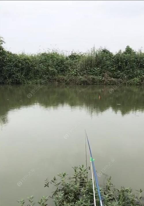 童家湖野钓鱼技巧（掌握童家湖野钓鱼的技巧）  第1张