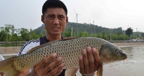 探秘土墩下挥杆钓鱼技巧（土墩下挥杆钓鱼技巧教程及关键要点）  第1张