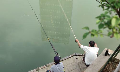 团泊大桥钓鱼技巧与方法（探秘团泊大桥下的丰富渔获）  第1张