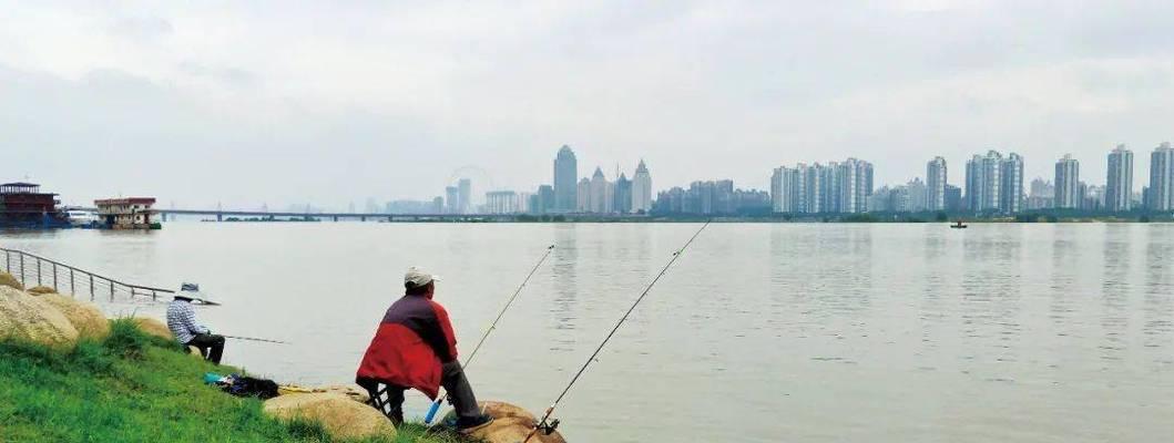 晚秋钓鱼技巧，尽享野钓乐趣（秋风瑟瑟）  第1张