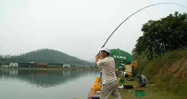 晚秋东北风钓鱼技巧（享受钓鱼乐趣的秘诀）  第1张