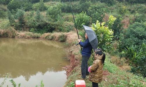 夜雨中钓鱼的技巧（享受雨夜垂钓的乐趣）  第1张