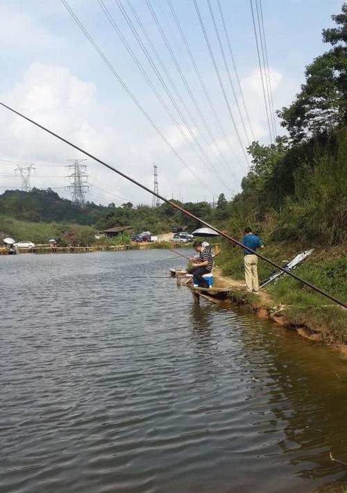 万峰大罗非钓鱼技巧解析（掌握万峰大罗非钓鱼的关键技巧）  第1张