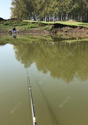 急流钓鱼技巧大揭秘（以我爱发明之经验分享）  第1张