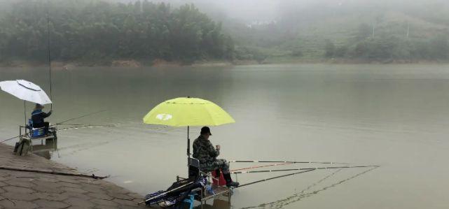 夏季阴天钓鱼技巧教学（提升夏日阴天钓鱼技能）  第1张