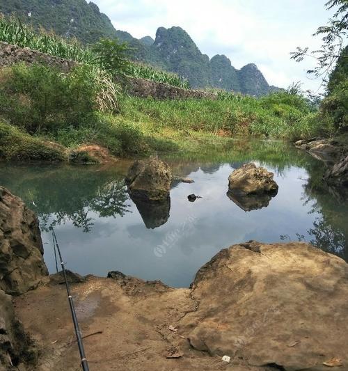 夏日雨后鱼塘钓鱼技巧（钓鱼高手教你如何在夏季雨后充分利用鱼塘的优势进行钓鱼）  第1张