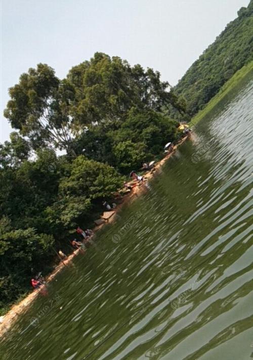 夏季雨天垂钓的技巧与注意事项（钓鱼技巧）  第1张