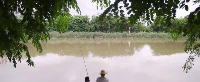 夏季雨天钓鱼技巧及调漂攻略（雨天钓鱼）  第1张