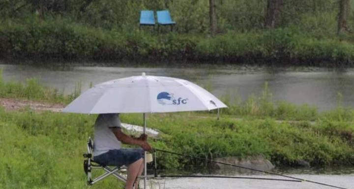 夏季雨天野钓鲫鱼的技巧和技巧（掌握这些技巧）  第1张